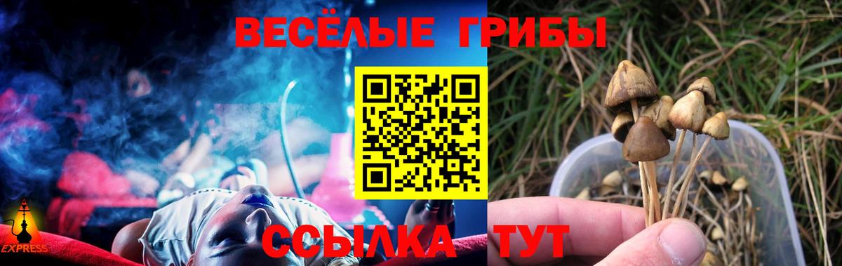 Псилоцибиновые грибы мухоморы  Вход с VPN  Чернушка 